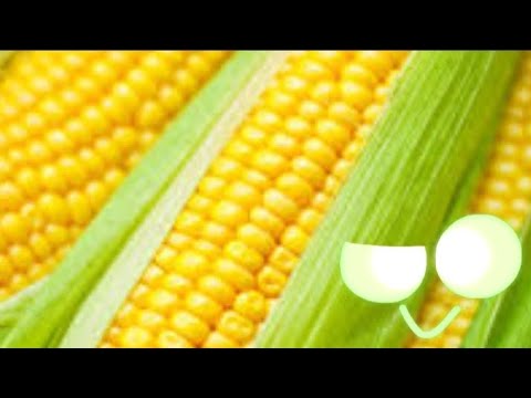 corn - An Imminent Death Rooms Animation