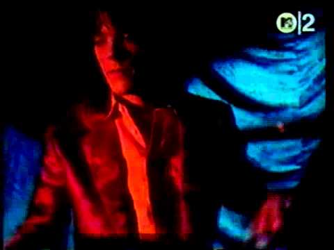 Lenny Valentino - The Auteurs