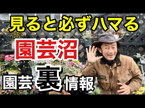 園芸 巣の要素