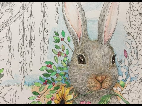 How to Draw and Color Realistic Animal Fur