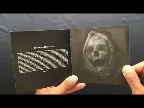 Unboxing  ORNÆMENTAL SHINE - Deima Panikon