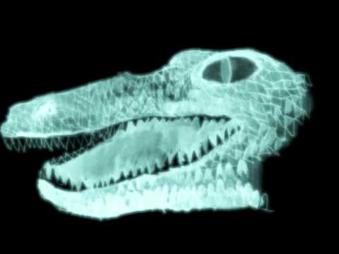 Mellemblond - Ishånd