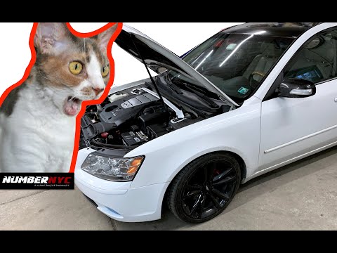Installed a $200 Ultra Racing Strut Bar. Is it worth it?