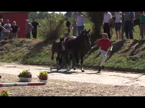 HF v. Forlee x Zambesi, 04.2022, ZG Obermove