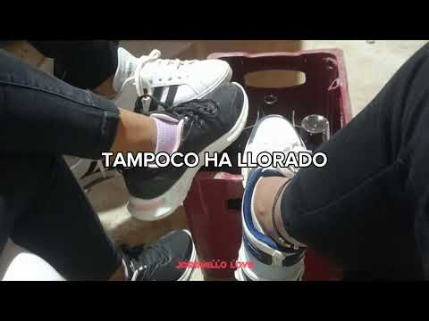 𝐃𝐨𝐬 𝐜𝐞𝐫𝐯𝐞𝐜𝐢𝐭𝐚𝐬 - 𝐂𝐨𝐫𝐚𝐳𝐨́𝐧 𝐒𝐞𝐫𝐫𝐚𝐧𝐨 (𝐥𝐞𝐭𝐫𝐚)