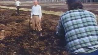 Eläkeläiset Humppauttajat: "SYÖ PASKAS" - Alkuperäinen. (audio only)