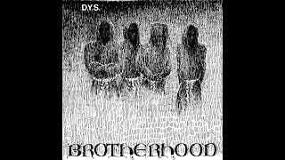 DYS - Brotherhood LP (1983)