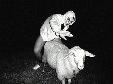 Hollywood Hank - Bezaubernde Frau