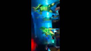 Freak - Lorena Herrera En Vivo