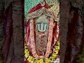 Ranisati Dadi Status Shorts