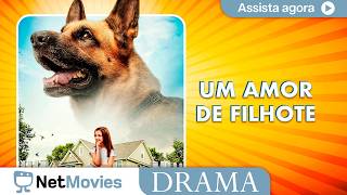 Um Amor