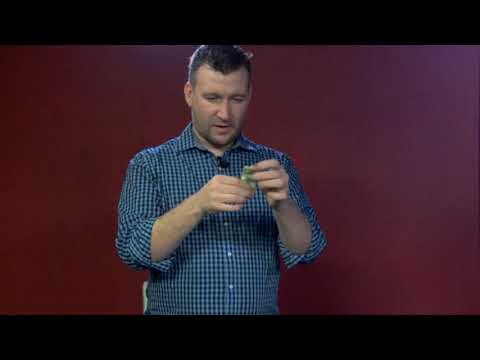 AT THE TABLE LIVE - LECTURE CHRIS RANDALL ON DVD - DAYTONA MAGIC