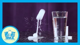 Thinking Big: Friendship