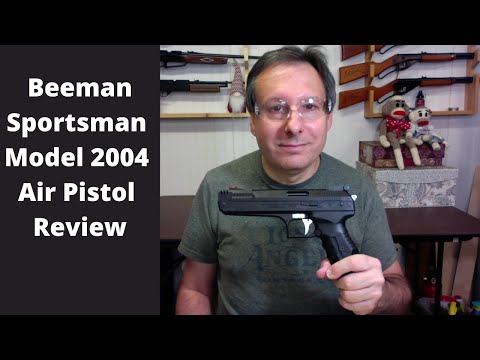 Beeman P17 - Top 5 reasons it is a great garage gun!!