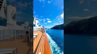 POV: You decide to take an Australia and New Zealand cruise ! 😍 #cruise #shorts