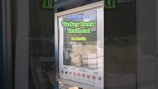 【テキサス生活】オースティンの日陰のトレイル『Turkey Creek Trailhead』. #不器用ママのアメリカ奮闘記 #海外在住ママ #テキサス在住 #トレイル