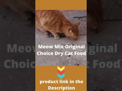 Meow Mix Original Choice Dry Cat Food #shorts #DryCatFood