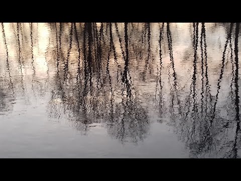 Die Alz (26. Dezember 2019)