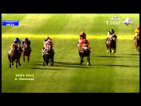 Al Quoz Sprint 2012 G1   Ortensia
