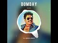 Bombay Bgm Mammootty Bgm Mammookka Bgm Best Actor Malayalam Movie Bgm