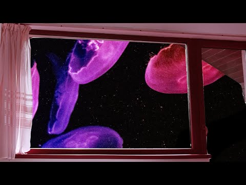 BombCatWombat - Are Two The Two?