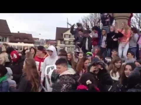 Harlem Shake Amriswil 2013