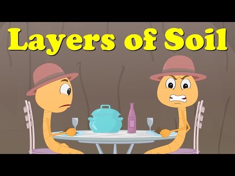 Layers of Soil for Kids | #aumsum