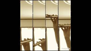 Download lagu Pavane pour une infante défunte (Flute ensemble) Ravel,Maurice #2 mp3