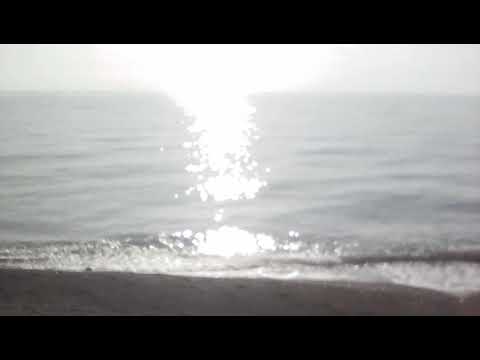 Море в солнечный день  2019.02.03 12:48