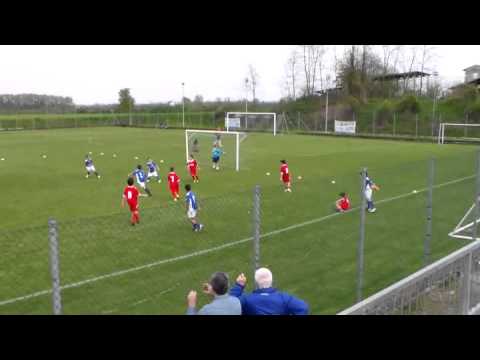 sarmatese  gossolengo pulcini 2004 05 04 2014