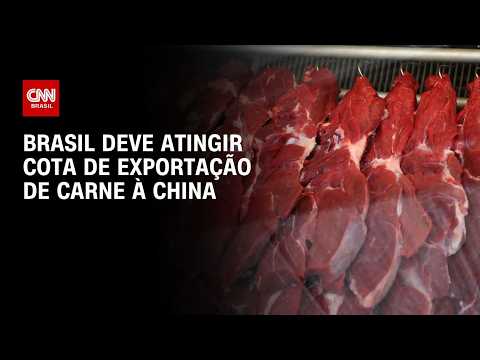 Brasil deve atingir cota de exportação de carne bovina à China; entenda | CNN PRIME TIME