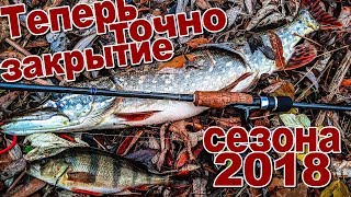 Рыбалка спиннингом осенью на окуня и щуку