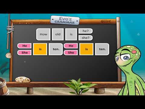 Evolution Plus klasa 4 - Evo's grammar - Unit 2, L1