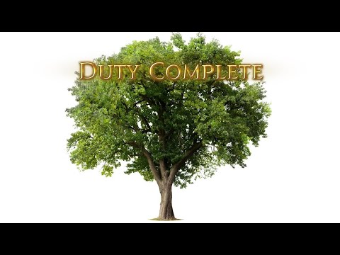 Pandæmonium Savage 7 (P7S) | DNC POV | 4K | All Effects | Gamesound only