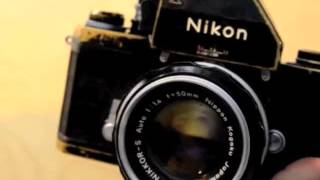 Momus: The Counting Song