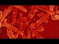 5 Signs of Life On Mars - The Countdown #37 