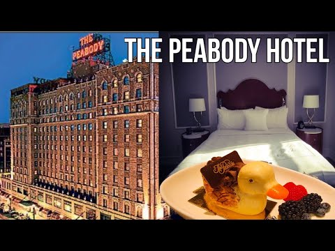 Peabody Hotel Review Club Level Ducks & More Memphis TN Capriccio Grill