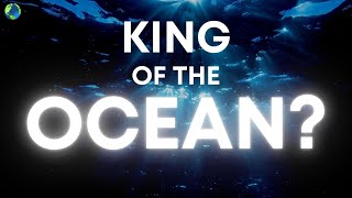This Animal Is The KING OF THE OCEAN!