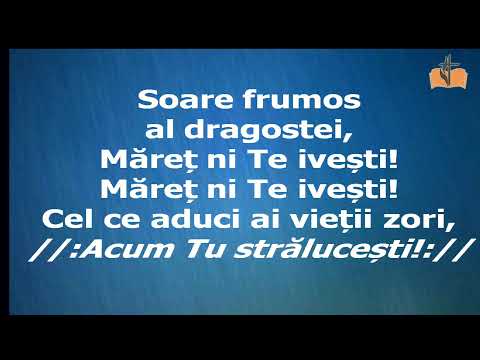 Programul din 29.04.2019 - PM