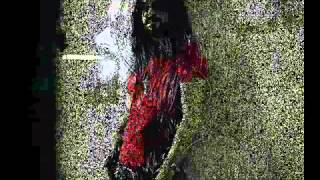 SHOOTER JENNINGS LITTLE WHITE LINES