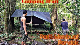 Download lagu Suku Dayak || 3 Hari hidup di Hutan Belantara #part1 mp3 Download lagu Suku Dayak || 3 Hari hidup di Hutan Belantara #part1 mp3