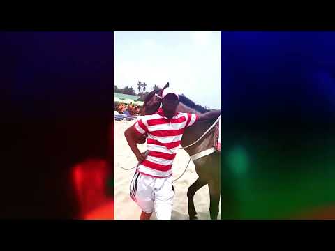 Kefale Alemu on Horse Riding #Shorts at Labadi Beach, Shore of Atlantic Ocean in Accra (Ghana)