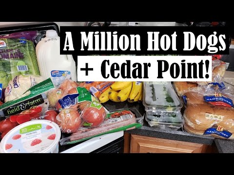 A MILLION HOT DOGS & CEDAR POINT! || $112.44 GROCERY...