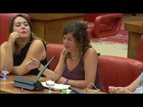 Sofía Castañón en la Comisión de evaluación en materia de Violencia de Género