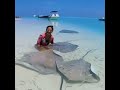 Water Kite Fish