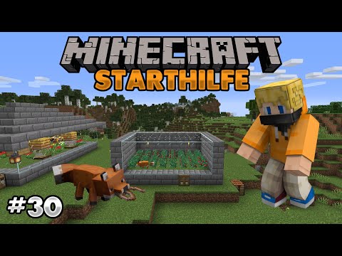 Minecraft Starthilfe - Süßbeerenfarm mit einem Fuchs #30