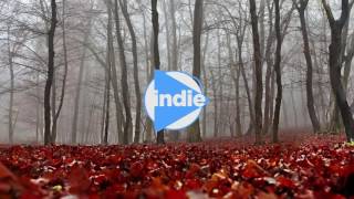 "The Mule" // I Don't Speak French