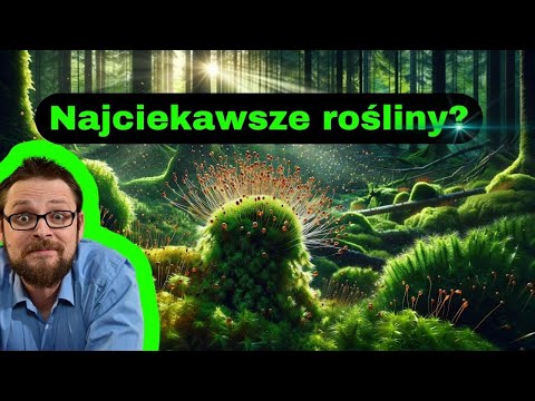 Mchy Przemiana pokoleń Znaczenie mchów Budowa mchów Szybka i łatwa nauka biologii. Mszaki