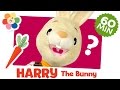 What is it? Compilation | Harry the Bunny | Learn First Words | Kids Learning Videos | BabyFirst