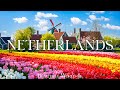 Netherlands 4K Stunning Tulip Fields And Spring Blooms In Full Glory Peaceful Piano Music